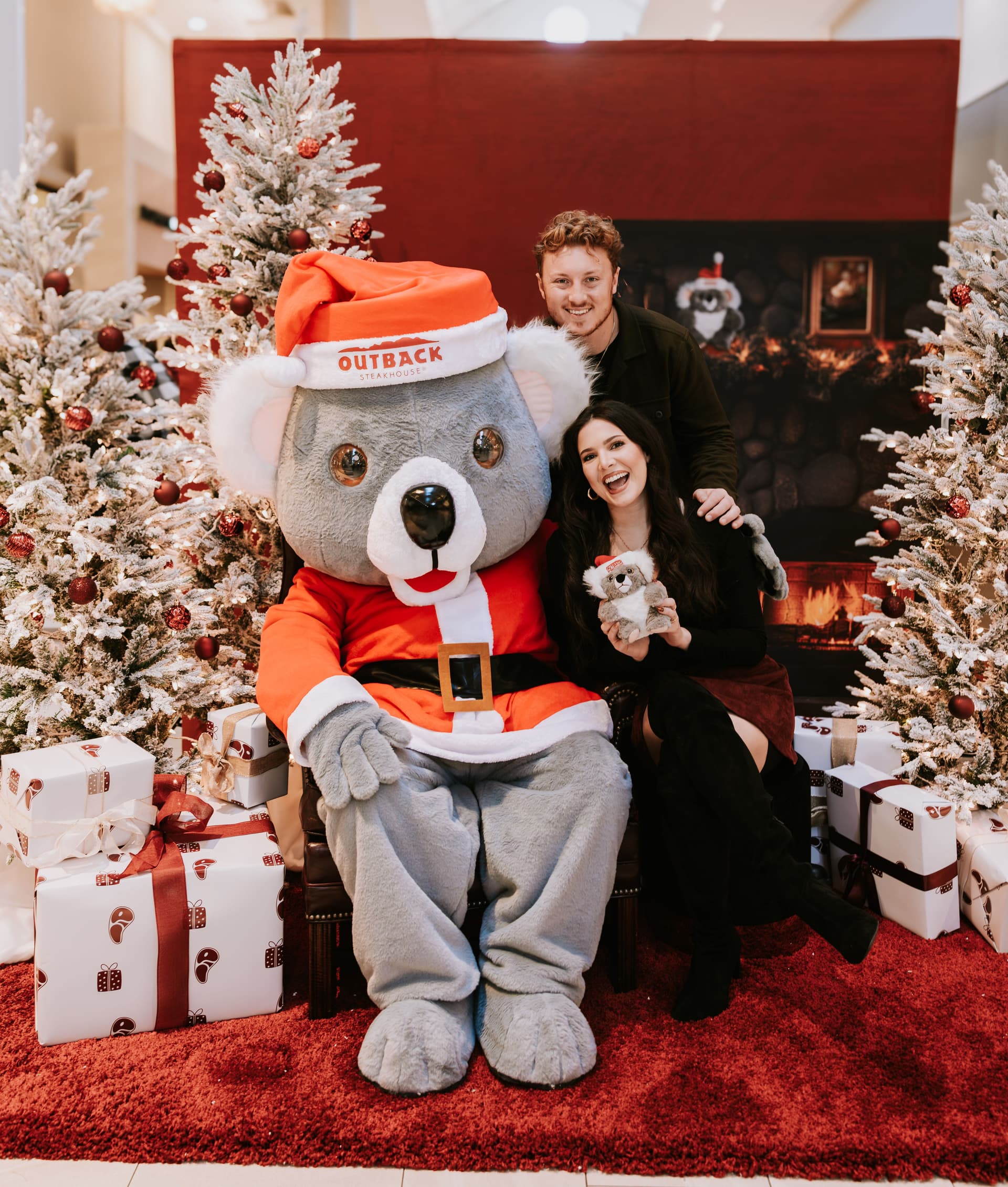 Outback Koala at the Malla